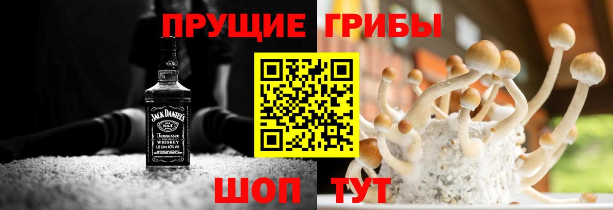Уссурийск  Галлюциногенные грибы ЛСД  Вход с VPN 